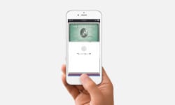 Apple-Pay-hero