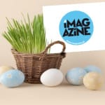 Zdjęcie okładkowe wpisu: Wesołych Świąt!