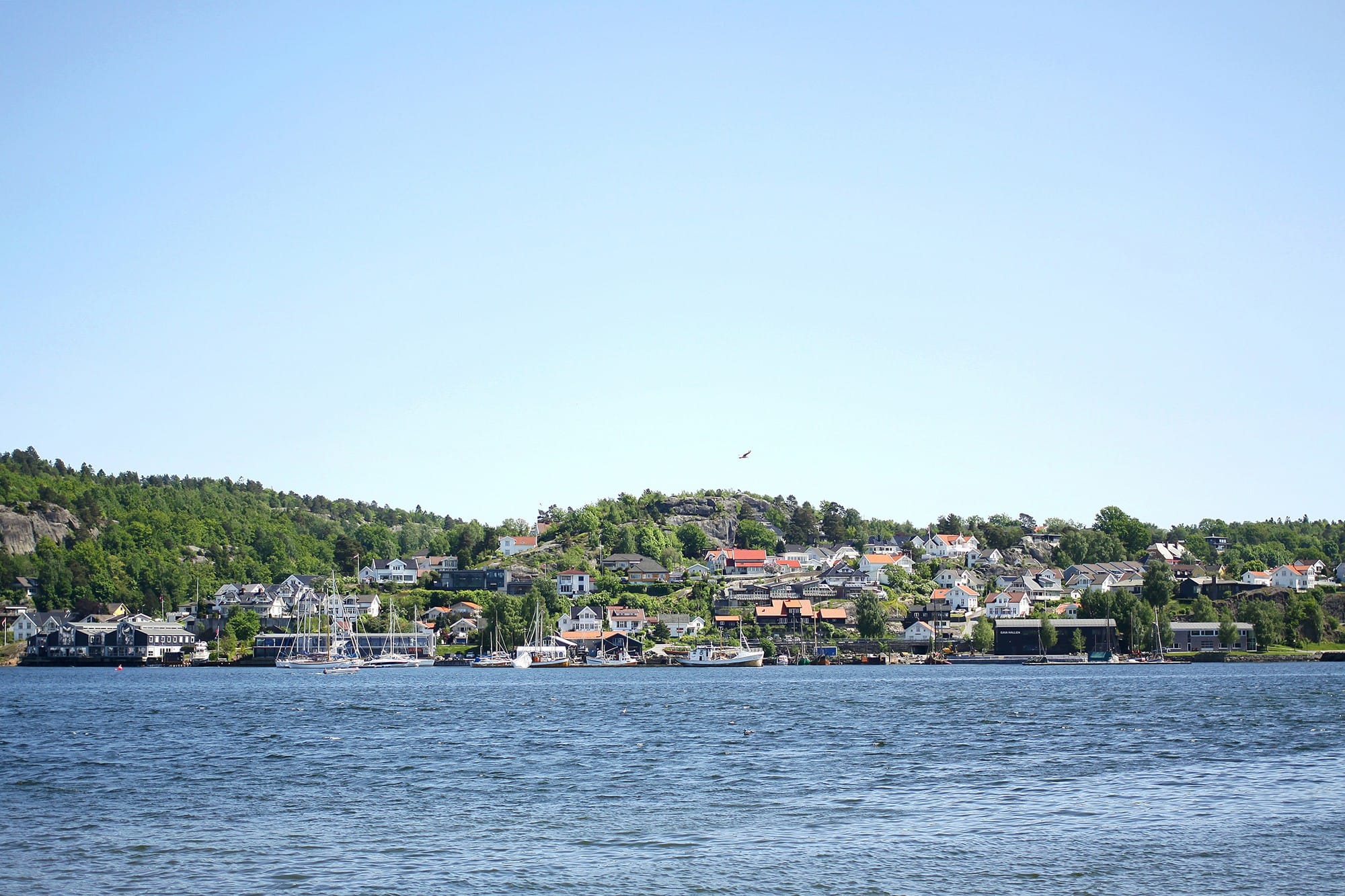 Zdjęcie okładkowe wpisu sandefjord2
