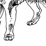 Zdjęcie okładkowe wpisu: Zazdrosna łapa