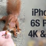 Zdjęcie okładkowe wpisu: iPhone 6S Plus – test nagrywania wideo w 4K i OIS w Łazienkach Królewskich