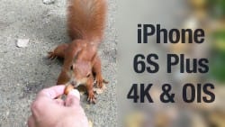 Zdjęcie okładkowe wpisu iPhone 6S Plus – test nagrywania wideo w 4K i OIS w Łazienkach Królewskich