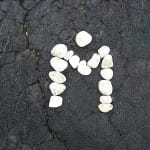 Zdjęcie okładkowe wpisu: James Cook, dzikie świnie i Ironman!