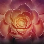 Zdjęcie okładkowe wpisu: Pixelmator dzisiaj za darmo dzięki MacFormatowi