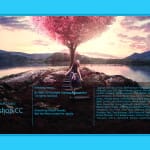 Zdjęcie okładkowe wpisu: Aktualizacja Adobe Photoshop – co nowego