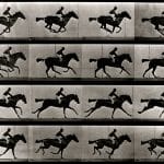 Zdjęcie okładkowe wpisu: Ruchome obrazki