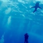 Zdjęcie okładkowe wpisu: To już jest koniec