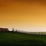 Zdjęcie okładkowe wpisu: Przegląd #15