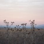 Zdjęcie okładkowe wpisu: Komunikacja w e-czasach