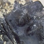 Zdjęcie okładkowe wpisu: Epicki clickbait II – „Źle trzymasz“