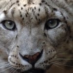 Zdjęcie okładkowe wpisu: Przegląd #22