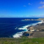 Zdjęcie okładkowe wpisu: Zadomowianie w Irlandii