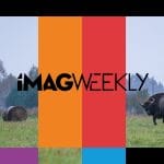 Zdjęcie okładkowe wpisu: iMag Weekly 26 – Dwa cale robią dużą różnicę!