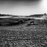 Zdjęcie okładkowe wpisu: Spotkanie na Saharze