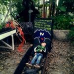 Zdjęcie okładkowe wpisu: Zadomowianie w Irlandii