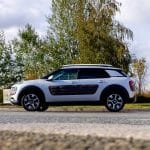 Zdjęcie okładkowe wpisu: Cytryna o posmaku kaktusa