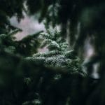 Zdjęcie okładkowe wpisu: Święta dla mnie już nie są takie same…