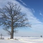 Zdjęcie okładkowe wpisu: My Słowianie