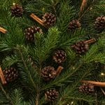 Zdjęcie okładkowe wpisu: Weekly Chill #029