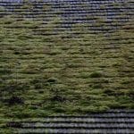 Zdjęcie okładkowe wpisu: Uff, po świętach