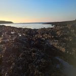 Zdjęcie okładkowe wpisu: Wanderlust