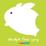 Zdjęcie okładkowe wpisu: Wszystkiego najlepszego!