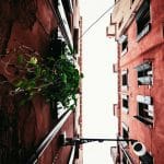 Zdjęcie okładkowe wpisu: Zgubić się