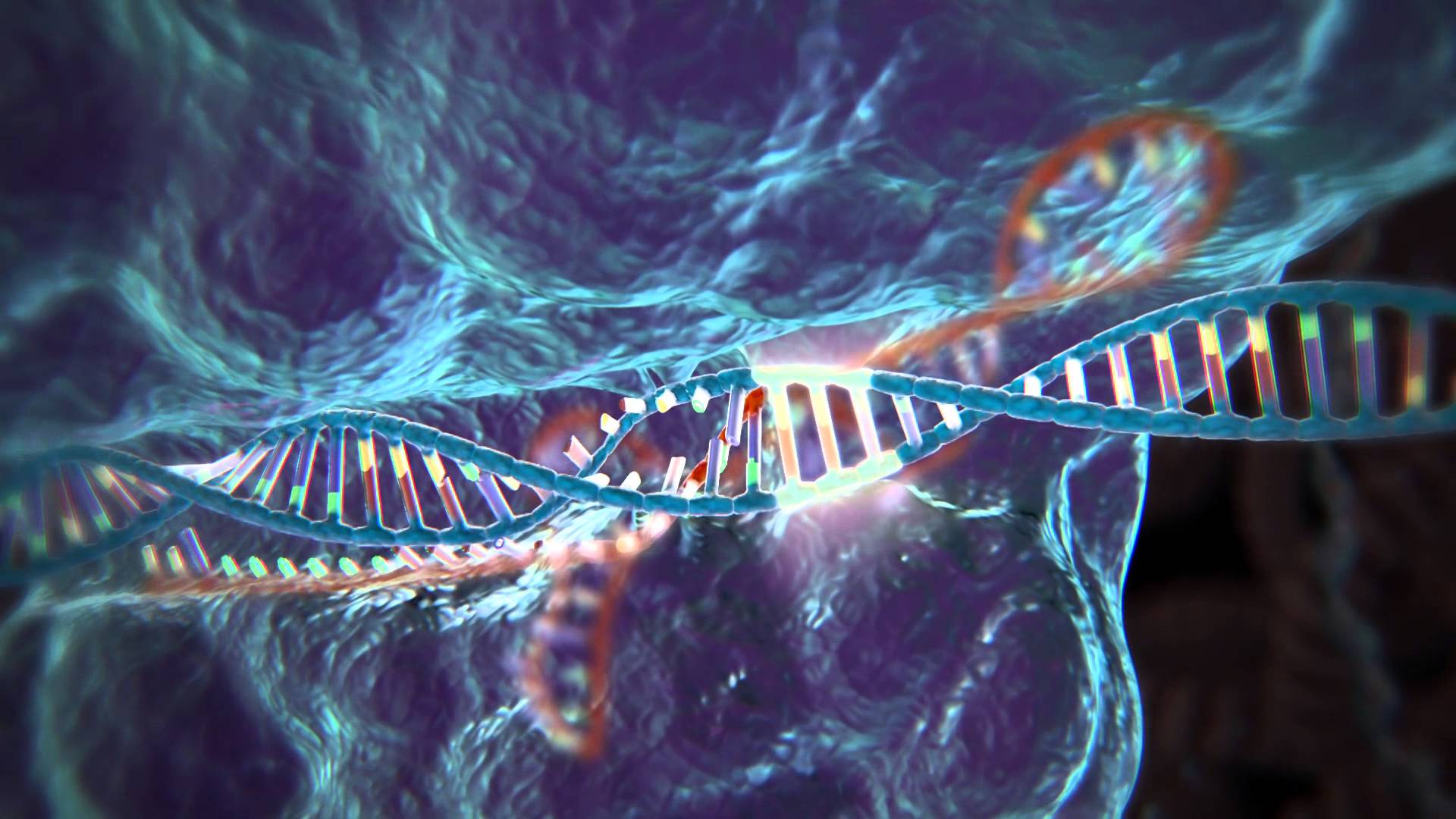 Zdjęcie okładkowe wpisu Czym jest CRISPR-Cas9, czyli kilka słów o technologii edytowania genów