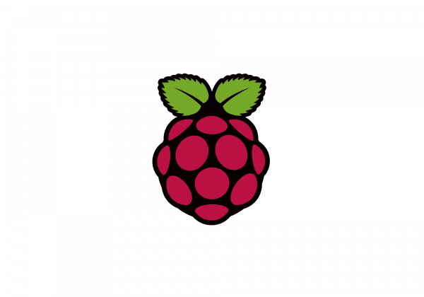 Raspberry Pi logo