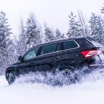 Zdjęcie okładkowe wpisu: Škoda 4×4 Challenge w ekstremalnych warunkach
