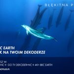 Zdjęcie okładkowe wpisu: NC+ z dokumentami BBC w 4K