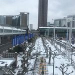 Zdjęcie okładkowe wpisu: Light+Building 2018 – oświetlenie naszych miast, biur i domów zmienia się nie tylko za sprawą Philips Hue