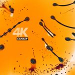 Zdjęcie okładkowe wpisu: W Canal+ 4K UltraHD wreszcie na dobre zagościły filmy