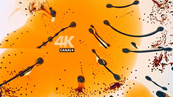 Canal+ 4K Ultra HD