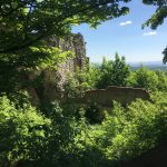 Zdjęcie okładkowe wpisu: Po swojemu