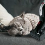 Zdjęcie okładkowe wpisu: Przystępny odkurzacz cyklonowy od Hoover – sprawdzamy