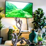 Zdjęcie okładkowe wpisu: Krótka smycz