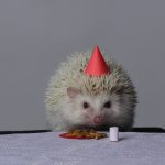 Zdjęcie okładkowe wpisu: Stan umiarkowanego zdziwienia