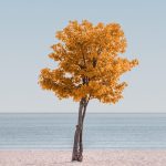 Zdjęcie okładkowe wpisu: Hashtag Alek – fotograf na Instagramie