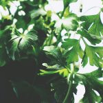 Zdjęcie okładkowe wpisu: Najlepiej przestań oddychać