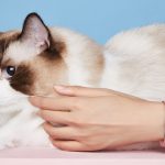 Zdjęcie okładkowe wpisu: Honor Band 5 – elegancka smartopaska