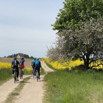 Zdjęcie okładkowe wpisu: L’Eroica na Mazurach