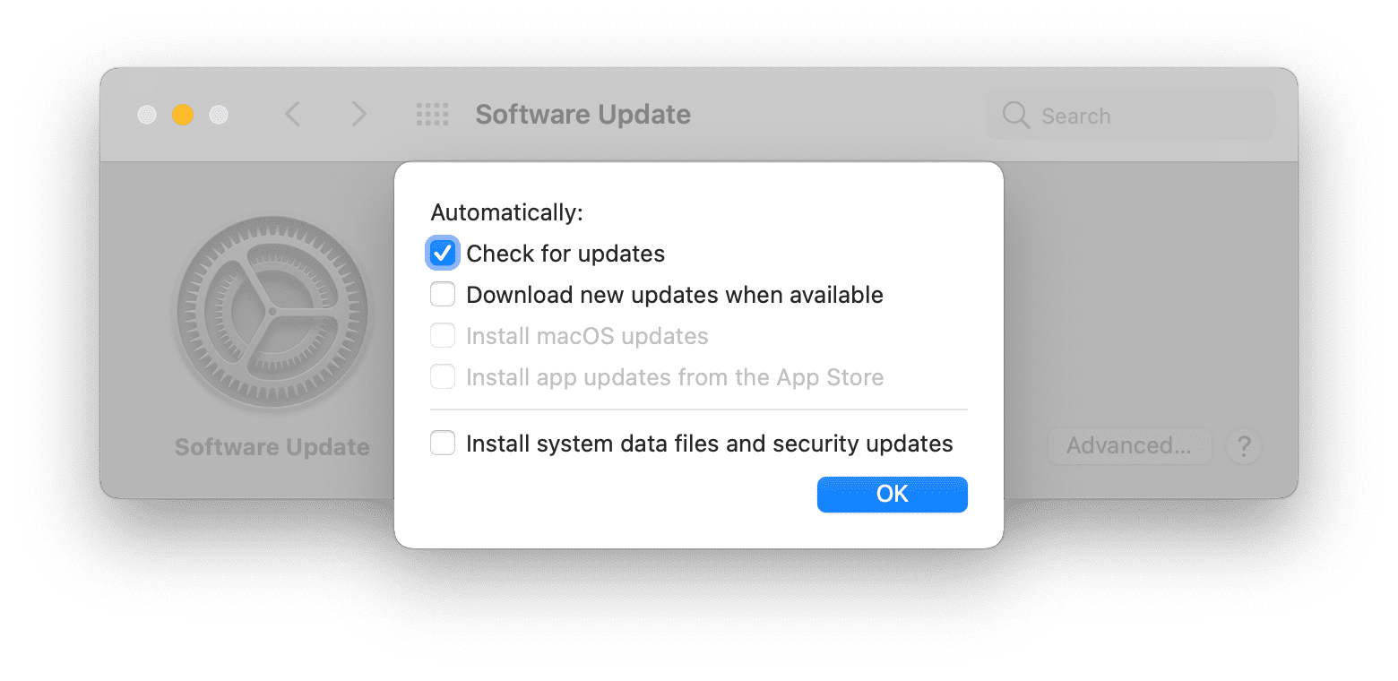 Custom update. Безопасность и конфиденциальность Macos. Check update проверка обновлений. Macos безопасность и конфиденциальность -> Общие. Update Mac.