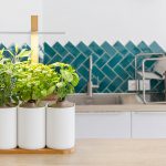 Zdjęcie okładkowe wpisu: Czas na domowy ogródek z łącznością Bluetooth – PRÊT À POUSSER już w Polsce