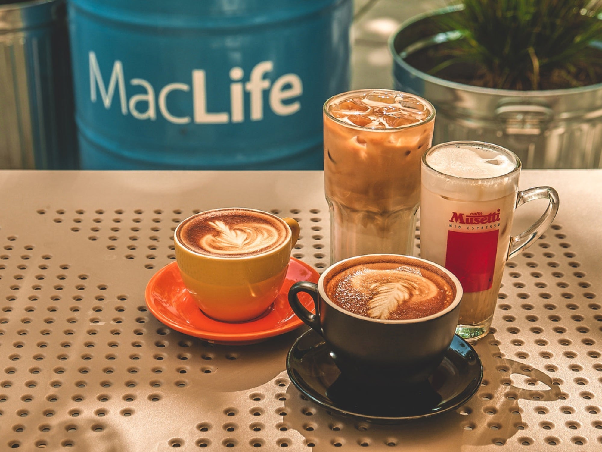 Zdjęcie okładkowe wpisu MacLife Cafe, czyli kawa w sadzie