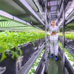 Zdjęcie okładkowe wpisu: Świąteczne przepisy z… mikroliści