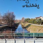 Zdjęcie okładkowe wpisu: Samsung Galaxy S22 Ultra i jego aparaty vs. iPhone 13 Pro – runda 1