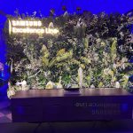 Zdjęcie okładkowe wpisu: E tam 8K w telewizorach! Czas na Excellance Line Samsunga