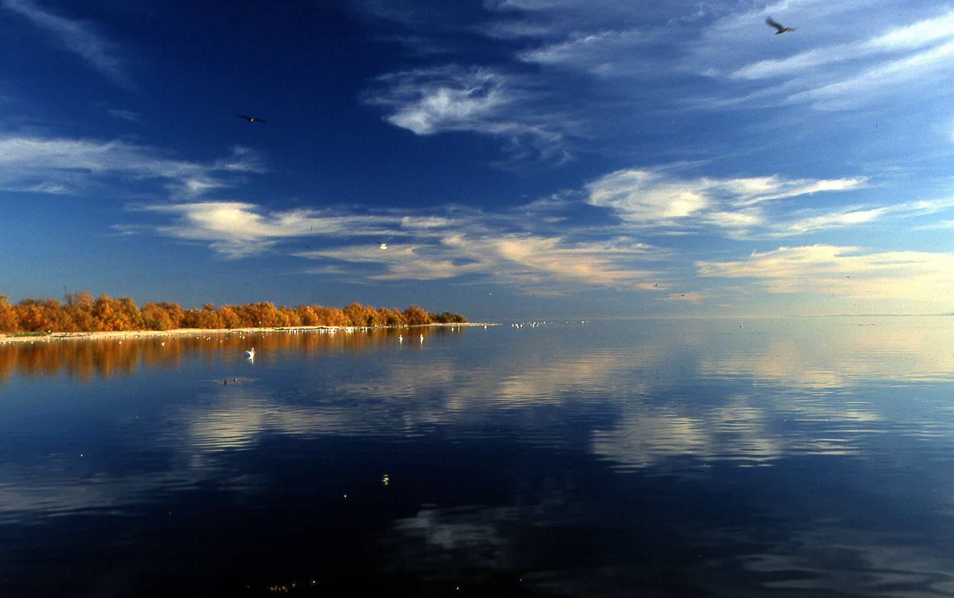 Zdjęcie okładkowe wpisu Słone jezioro Salton Sea – szansa na najbardziej ekologiczny lit świata
