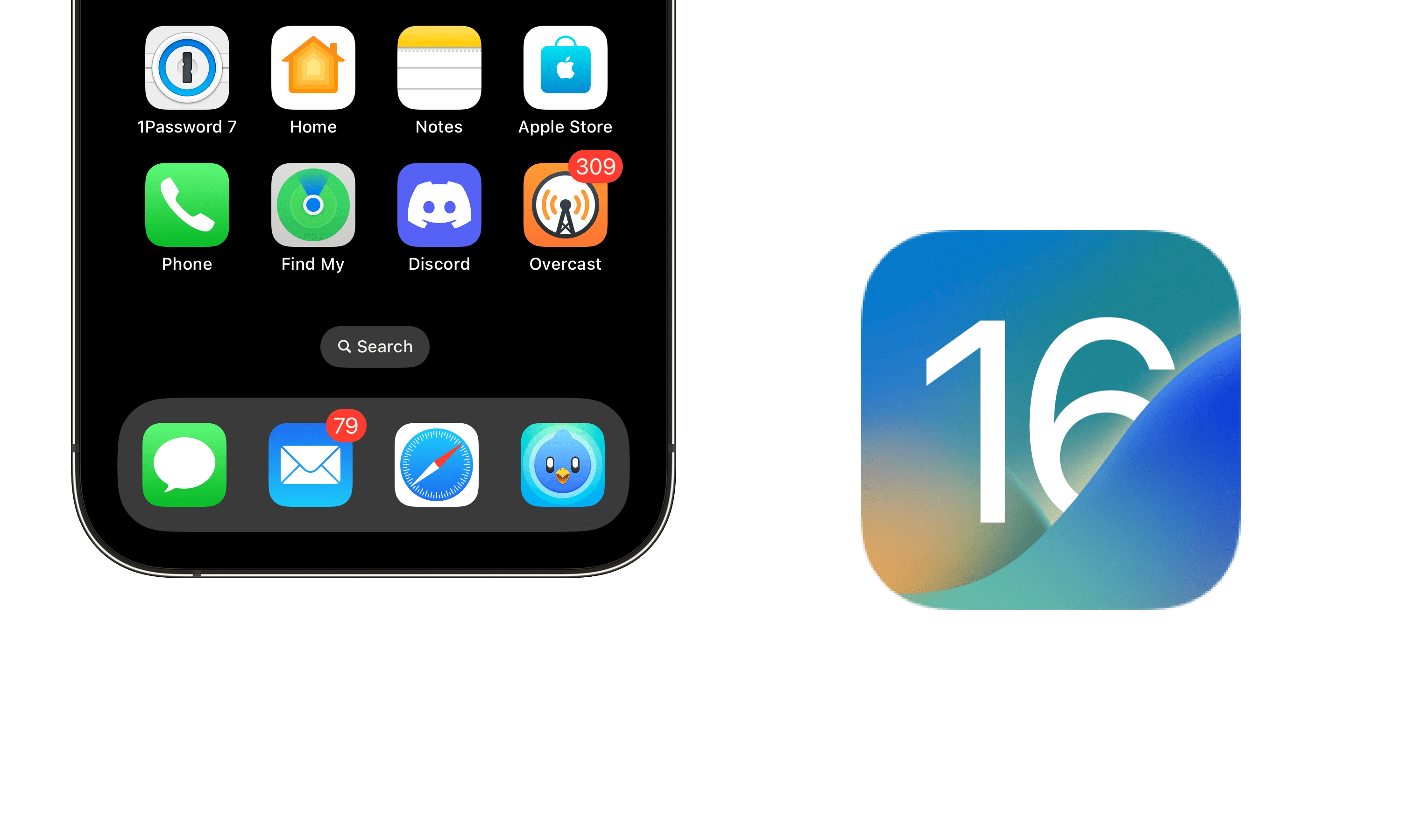 Zdjęcie okładkowe wpisu Tipsy dla iOS 16 – Jak wyłączyć przycisk Szukaj na ekranie domowym